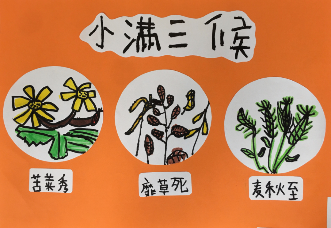 小满小满  小得盈满