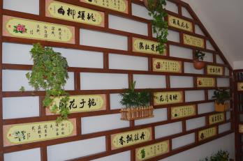 校园一角