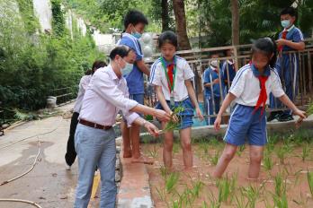 美劳基地学插秧
