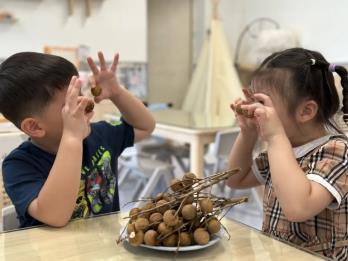 【白露至，秋实美 】二十四节气之白露