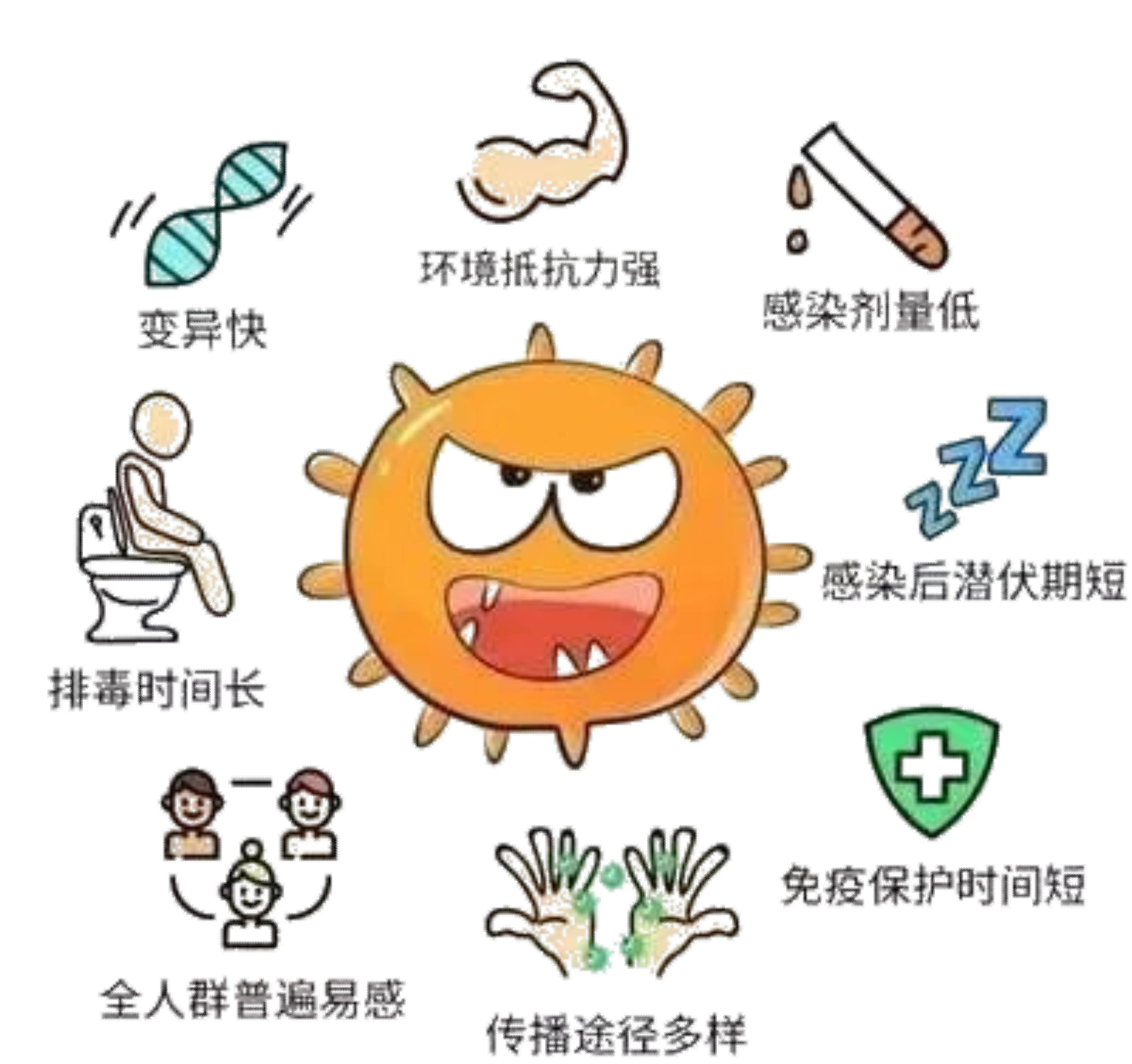 图片5.jpg