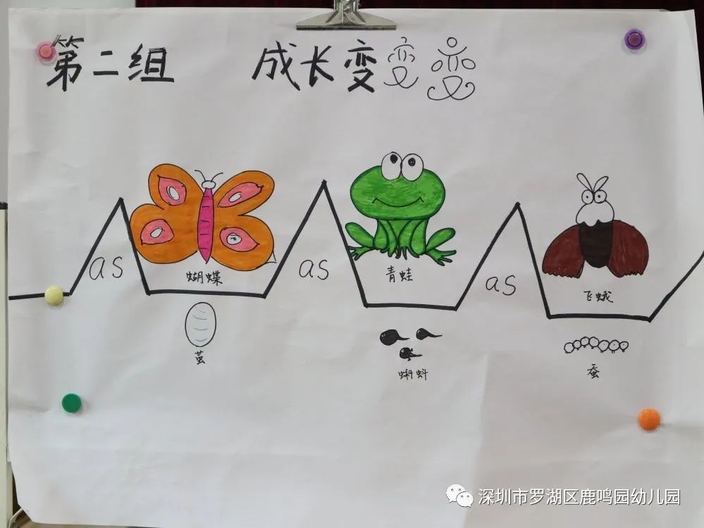23.jpg 23.jpg
